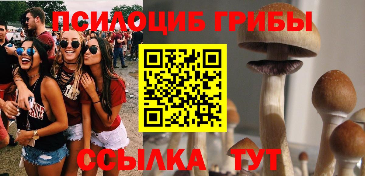 Псилоцибиновые грибы Psilocybine cubensis  Вход с VPN  Апшеронск 